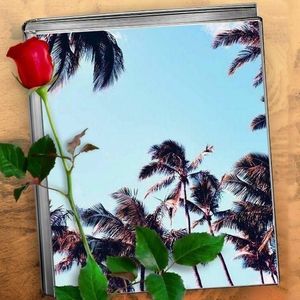 Meet your Posher, Leslie